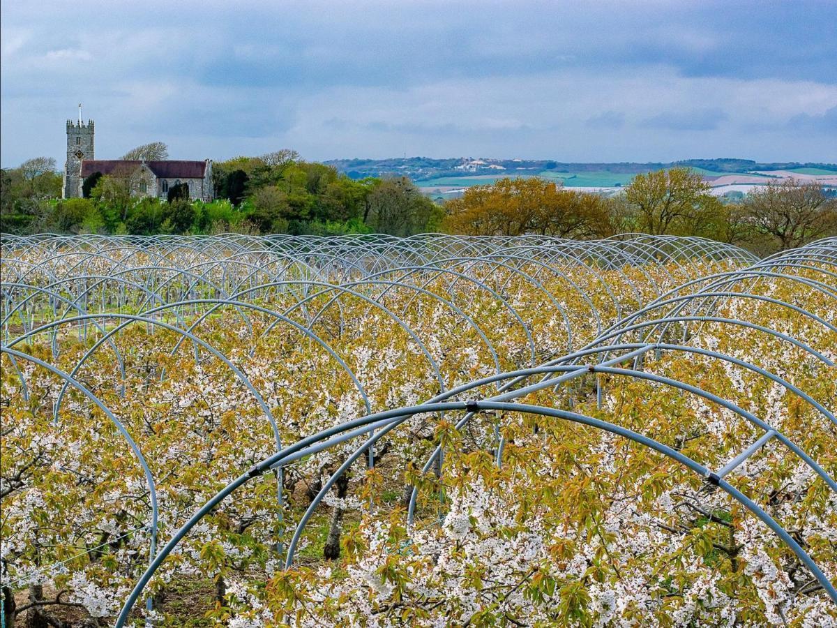 Holiday home Cherry Godshill (Isle of Wight)